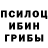 Псилоцибиновые грибы прущие грибы Stephanie Taylor