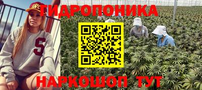 прущий лед Владимир
