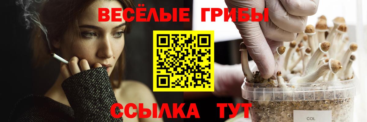 Ульяновск  Галлюциногенные грибы мухоморы  как найти   Вход с VPN  Галлюциногенные грибы GOLDEN TEACHER 